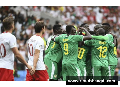 非洲队冲击世界杯：潜力与挑战
